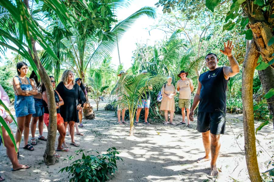 Fiji: Half-Day Island Activities Tour with Jungle Cruise - Lunch, optional paid activities, and the real value of $97