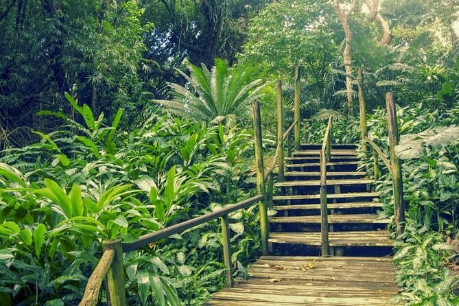 Fiji Lautoka Shore Excursions Tour - Viseisei and the story of Fiji’s ancestors