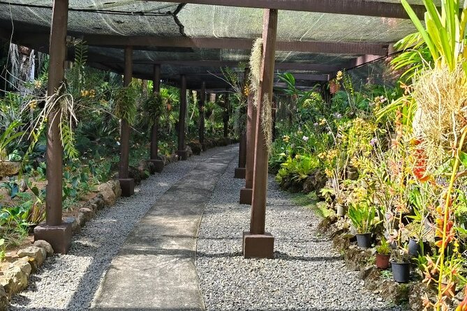 Fiji Lautoka Shore Excursions Tour - Boat Shed Restaurant: two hours beside the sea
