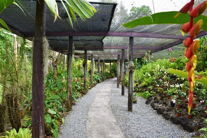 Fiji Lautoka Shore Excursions Tour - Who should book this experience?