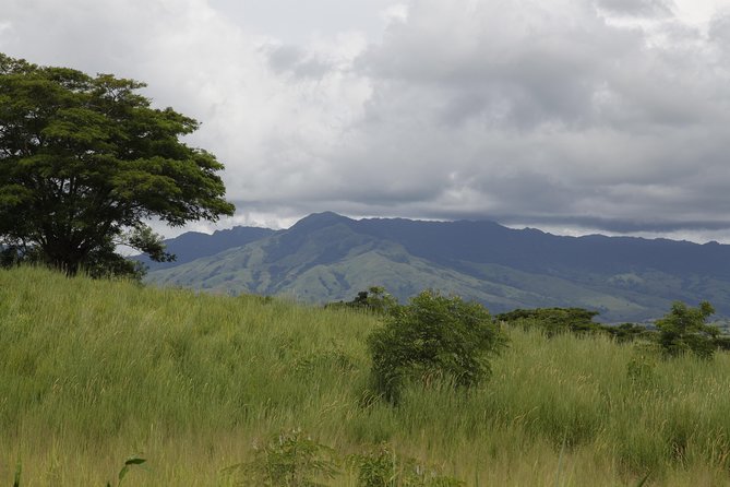 Fiji Local Village, Market, Temple & Garden of Sleeping Giant with Mud Pool Tour - Key points at a glance