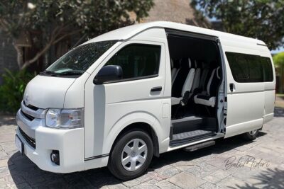 Fiji Marriott Resort Momi Bay To Nadi Airport or Denarau (Departure Transfer)