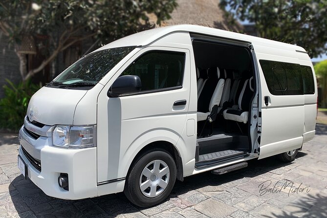 Fiji Marriott Resort Momi Bay To Nadi Airport or Denarau (Departure Transfer) - What the private vehicle means for couples and groups
