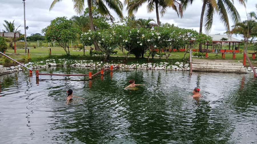 FIJI-NADI: Sabeto Tifajek Hot Spring and Mudpool Tour - Is $18 good value?