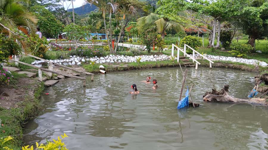 FIJI-NADI: Sabeto Tifajek Hot Spring and Mudpool Tour - How to make the visit better