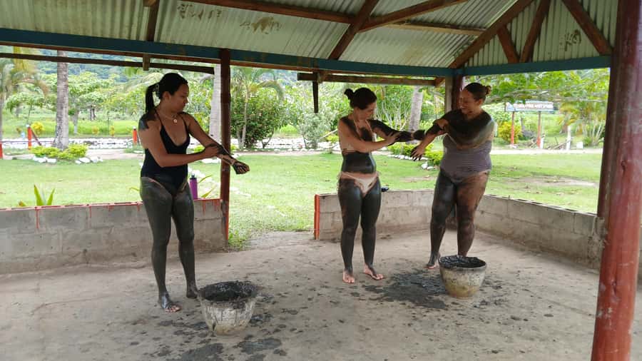 FIJI-NADI: Sabeto Tifajek Hot Spring and Mudpool Tour - Should you book the Sabeto Tifajek tour?