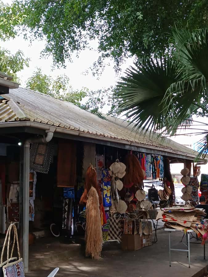 Fiji: Nadi Tour with Tifajek Mudpool and Hotspring Visit - What to bring and how to prepare