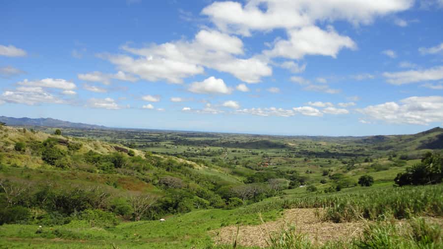 Fiji: Navala Village Cultural Tour & Traditional Lunch - A traditional lunch prepared in the village