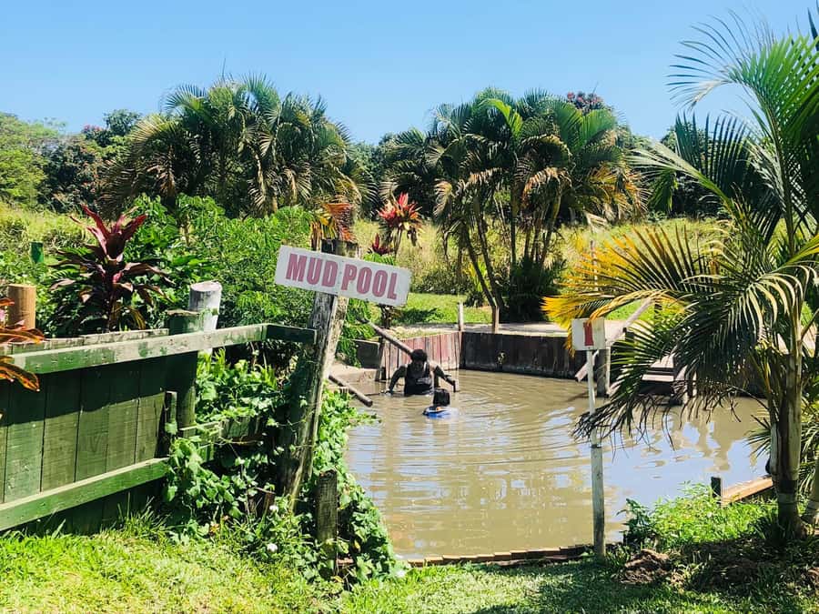 FIJI: Sabeto Hotspring & Mudpool Tours, Tickets & Transfers - Why Sabeto Valley makes the trip worthwhile