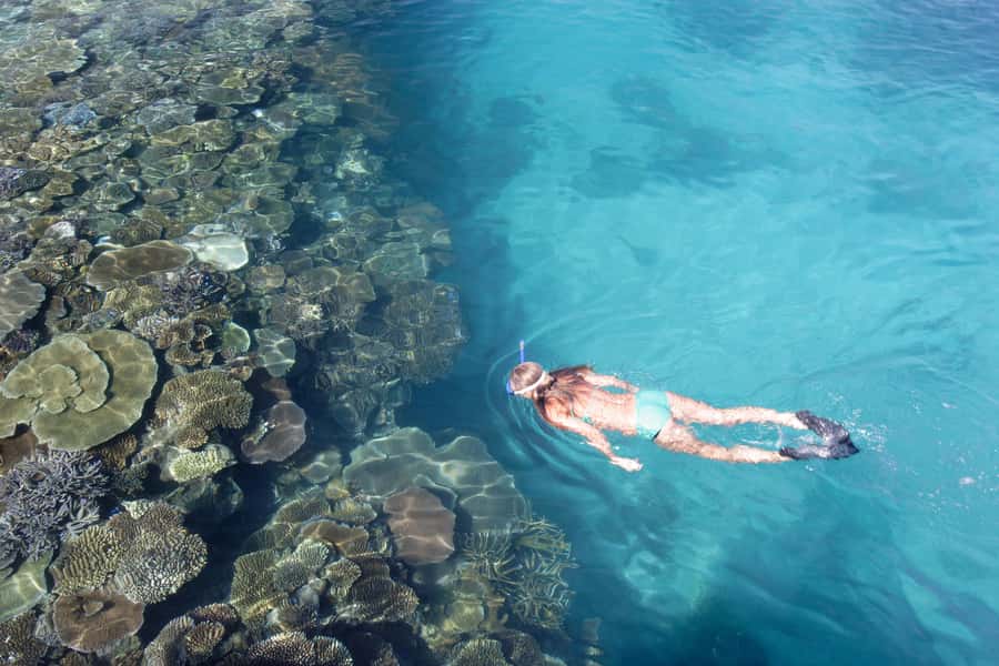 Fiji: South Sea Island Combo Half Day Trip Lunch & Drinks - Port Denarau to South Sea Island in 30 minutes