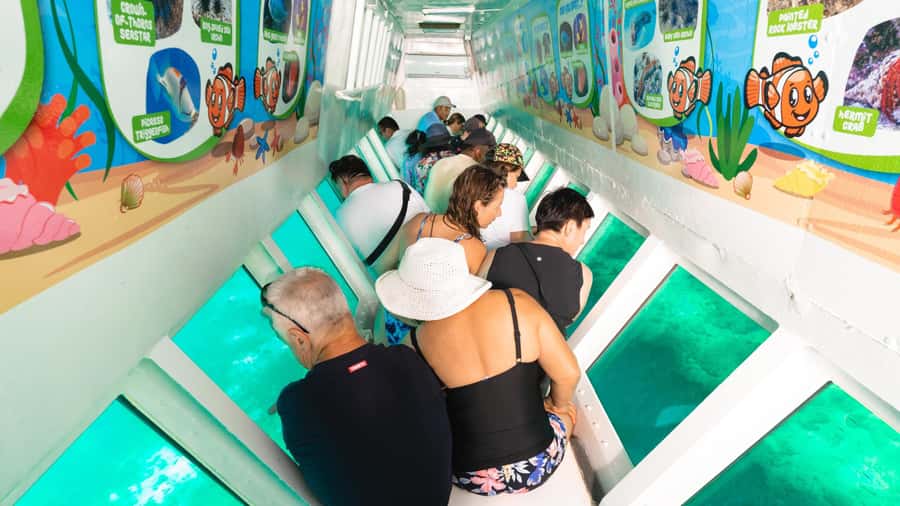 Fiji: South Sea Island Half-Day Trip with Lunch - What the $108 price really includes