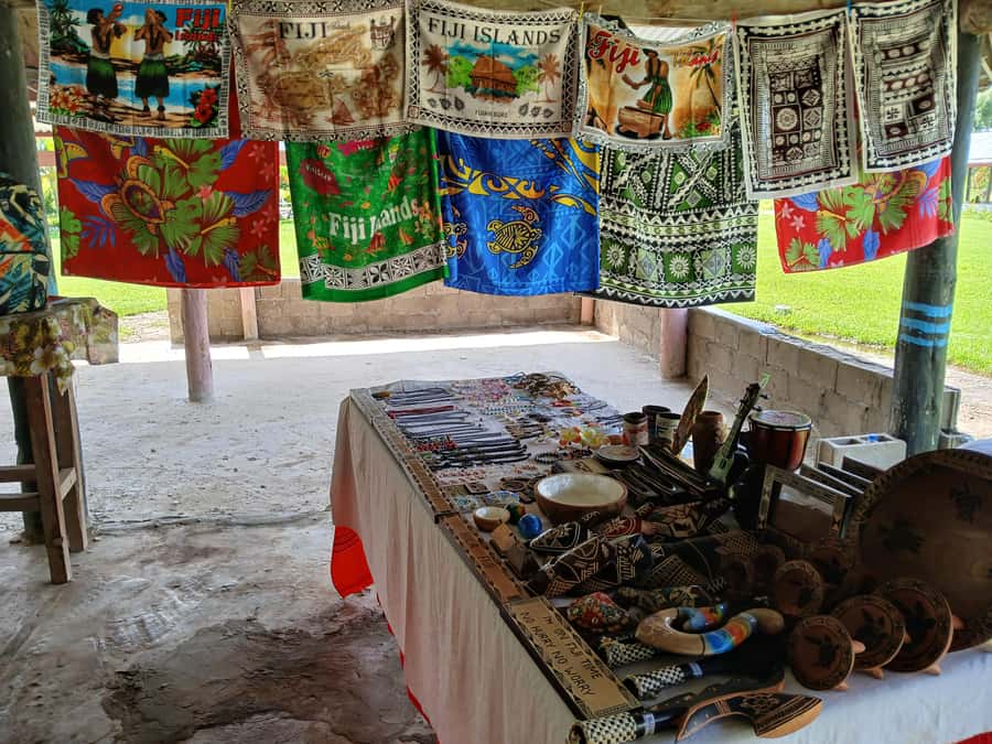 Fiji: Tifajek Mud Pool & Hotspring Tours & Tickets - The natural hot spring pools