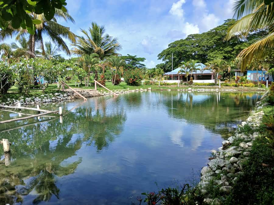 Fiji: Tifajek Mud Pool & Hotspring Tours & Tickets - How long should you allow?