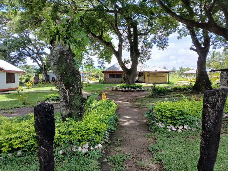 Fiji: Tifajek Mud Pool & Hotspring Tours & Tickets - Is $21 good value?