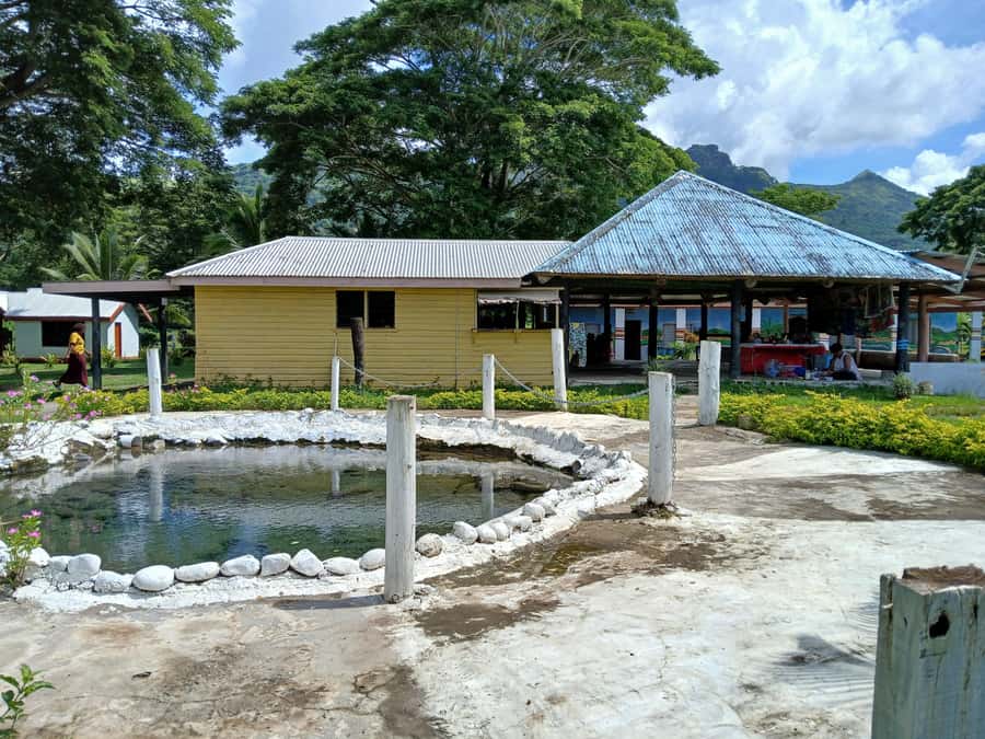 Fiji: Tifajek Mud Pool & Hotspring Tours & Tickets - What the guide adds