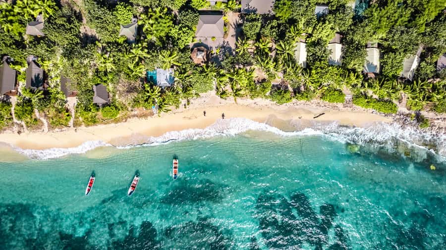 Fiji: Ultimate Encounters Snorkel with Sharks and Lunch - Key points before you book