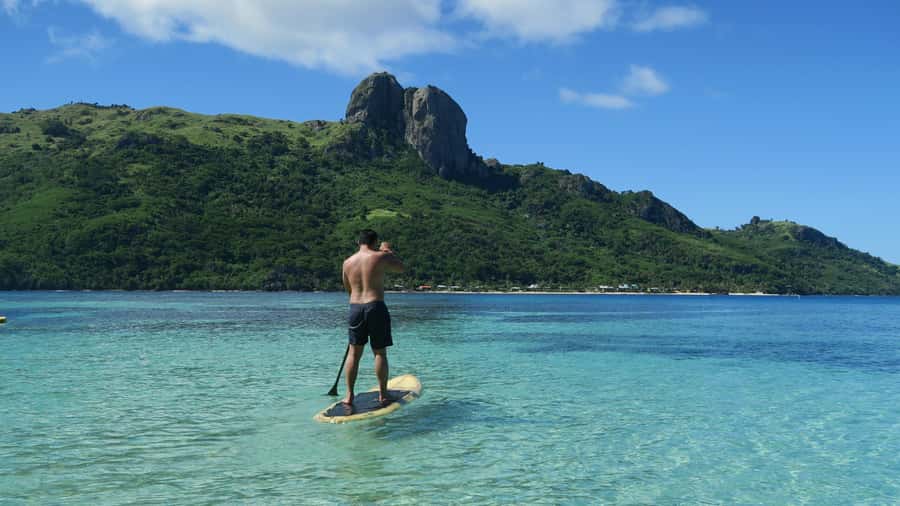 Fiji: Ultimate Encounters Snorkel with Sharks and Lunch - Who should book this shark encounter?