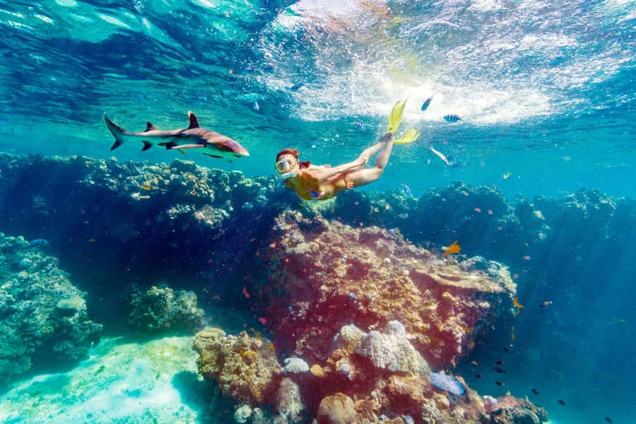 Fiji: Ultimate Encounters Snorkel with Sharks and Lunch - Arriving at Kuata Island