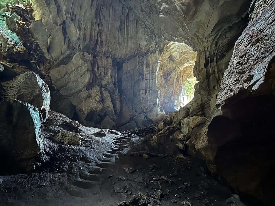 Fiji: Zipline Adventure and Cave Exploration - Sixteen lines across five kilometres of rainforest