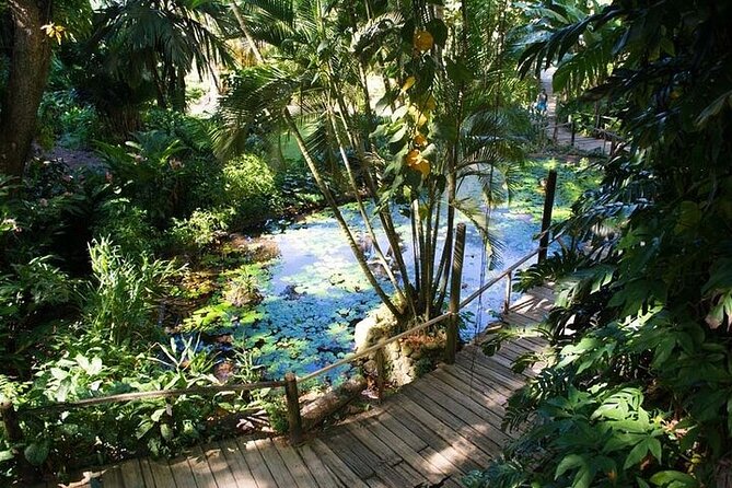 Full Day Discover Nadi Tour ( From Sigatoka Coral coast Hotels ) - Garden of the Sleeping Giant: orchids and a shaded walk