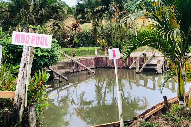 Garden Of Sleeping Giant ,Mudpool &Temple Tour From Coral Coast - Sabeto Hot Springs and Mud Pool, the messy finale