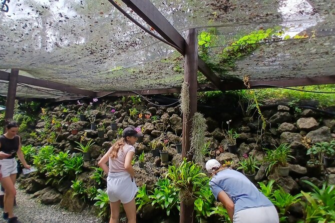 Garden of Sleeping Giant Tour with Tifajek Mud Pool and Hotspring - Key points before you book