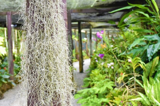 Garden of Sleeping Giant Tour with Tifajek Mud Pool and Hotspring - How to plan your day