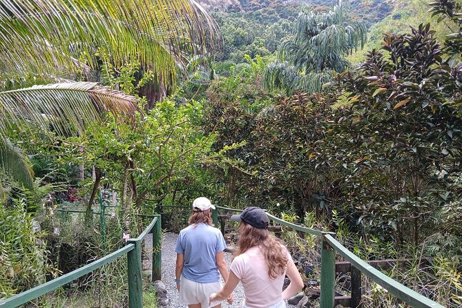 Garden of Sleeping Giant Tour with Tifajek Mud Pool and Hotspring - Who will enjoy this most