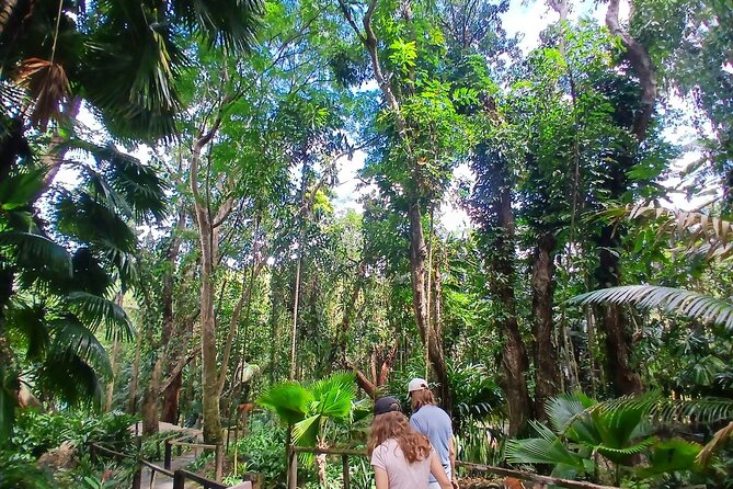 Garden of Sleeping Giant Tour with Tifajek Mud Pool and Hotspring - Booking and cancellation details