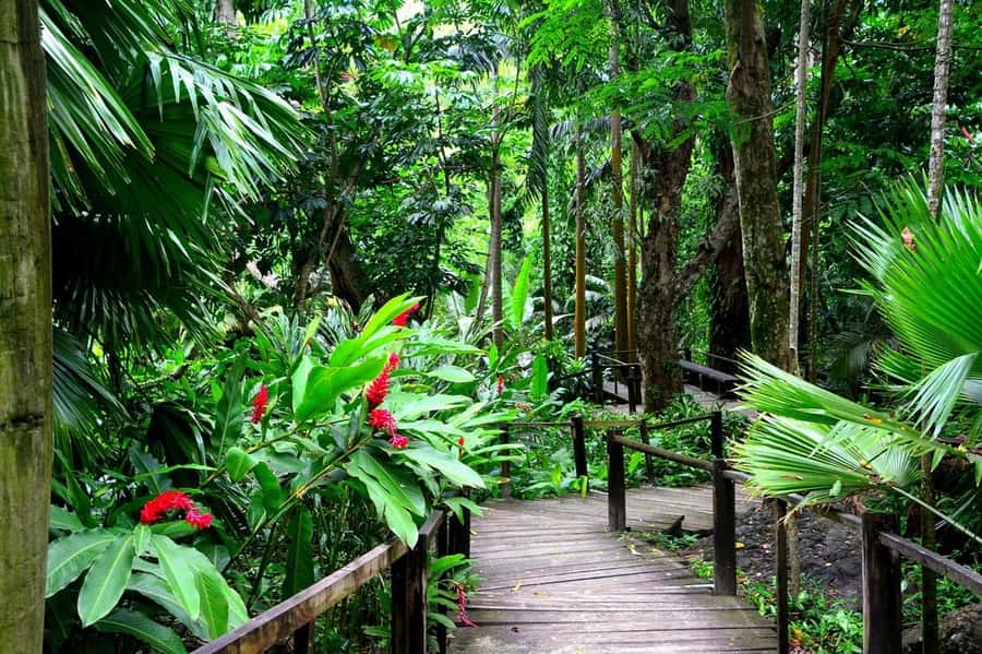 Garden of Sleeping Giant with Sabeto Hotspring Mudpool Tour - Who will enjoy this outing most