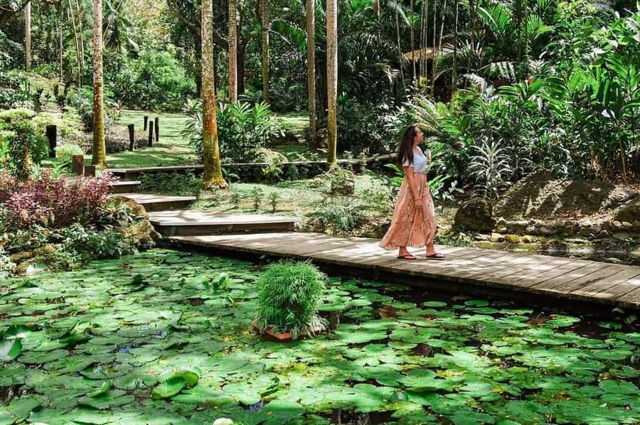 Garden of Sleeping Giant with Tifajek Mudpool Hotspring Tour - Five things to know before you book