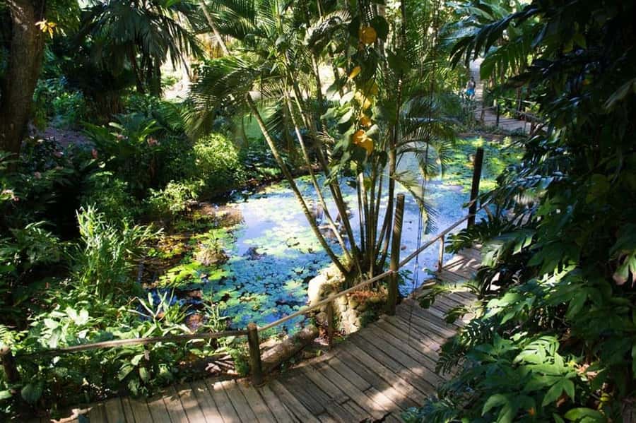 Garden of Sleeping Giant with Tifajek Mudpool Hotspring Tour - Shared pickups can shape your whole schedule