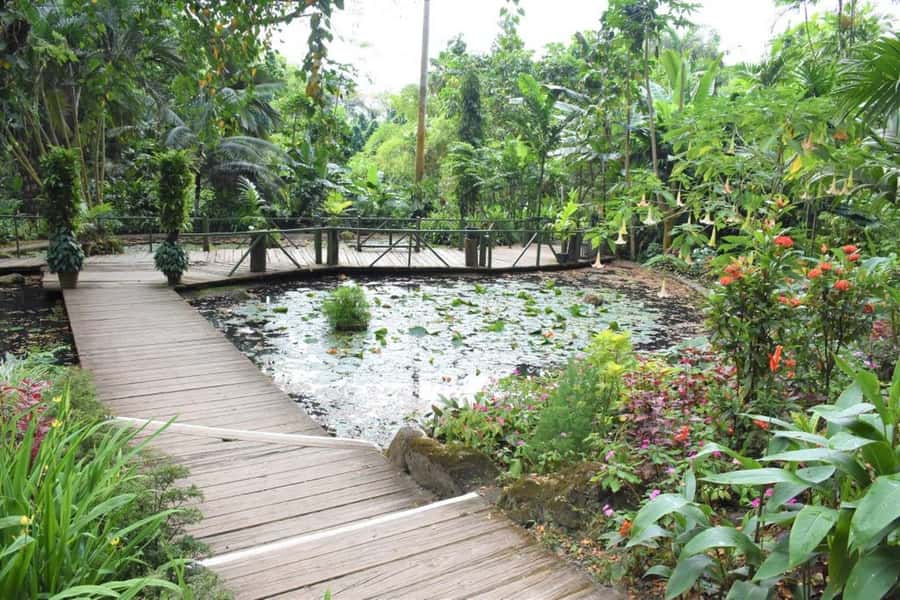 Garden of Sleeping Giant with Tifajek Mudpool Hotspring Tour - What to bring for a comfortable visit