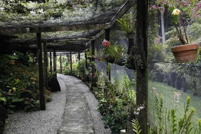 garden of the sleeping giant and mudpool tour combo - Two very different Fiji stops in four to five hours