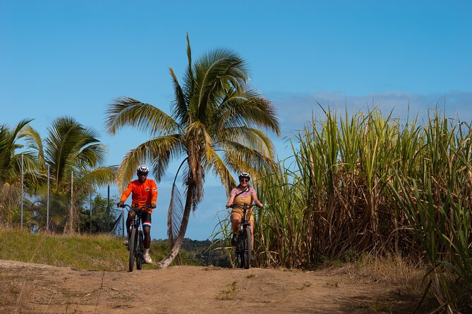 Guided E-bike Tour - Why ride inland from Nadi?