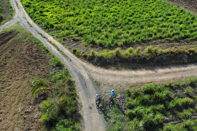 Guided E-bike Tour - What the guides add to the morning