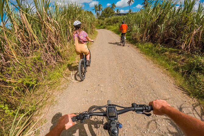 Guided E-bike Tour - Starting at 8:00 am in Naboutini