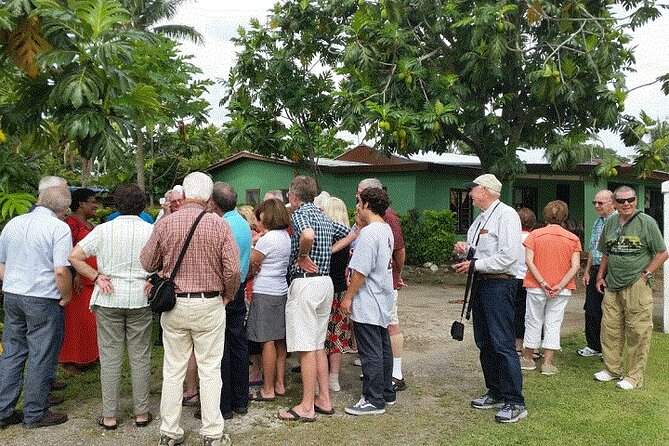 Half Day Mudpools, Veseisei Fijian Village, Gardens of Sleeping Giants &Shopping - The Gardens of Sleeping Giants and Raymond Burr’s orchids