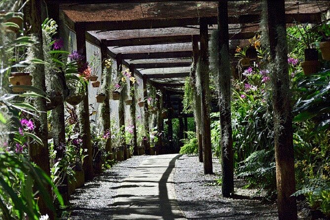Half Day Mudpools, Veseisei Fijian Village, Gardens of Sleeping Giants &Shopping - Sabeto Mud Pools, Fiji’s natural spa stop