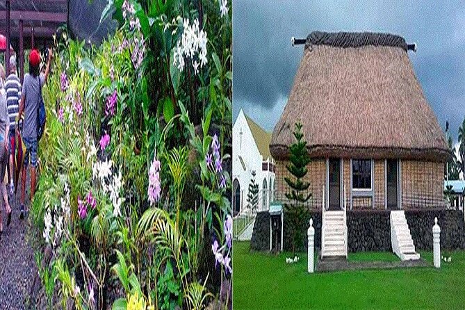 Half Day Nadi Tour incls Sri Siva Temple, Orchid Gardens,Local Village & Markets - Nadi Produce Markets: A Quick Look at Daily Life