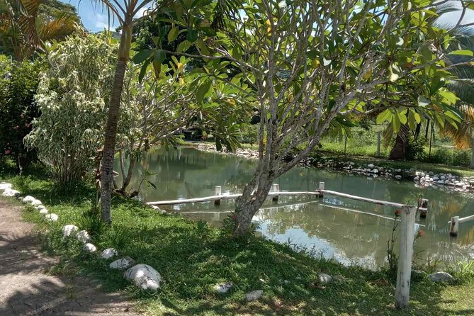 Half Day Nadi Tour Temple, Market, Gardens and Mud Pools - Who should book this Nadi tour