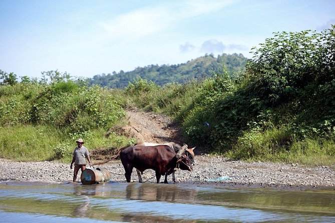 Half Day Sigatoka River Jetboat & Village Tour with Lunch & Transfers - Who will enjoy this tour most