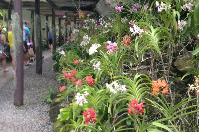 Half Day Sightseeing - Wonders of Nadi Tour - Who should book the Wonders of Nadi Tour?