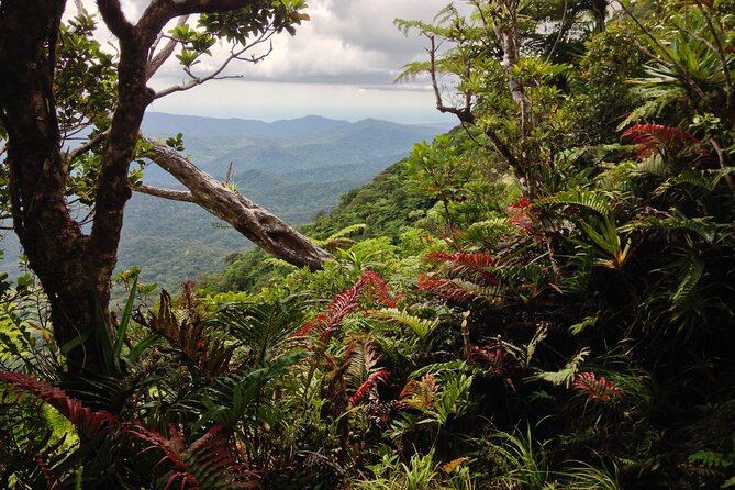 Hiking Adventure including Fiji's Highest Mountain and 3 Nights - Day 1: Four-wheel drive into Navai