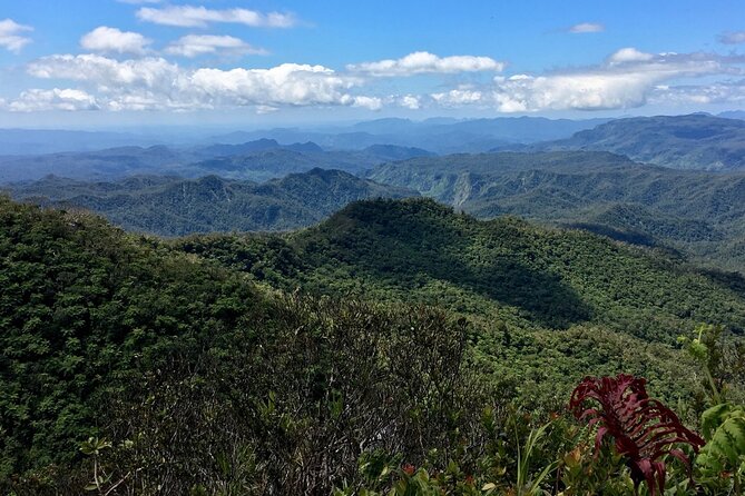 Hiking Adventure including Fiji's Highest Mountain and 3 Nights - Day 2: The climb to Mount Tomanivi