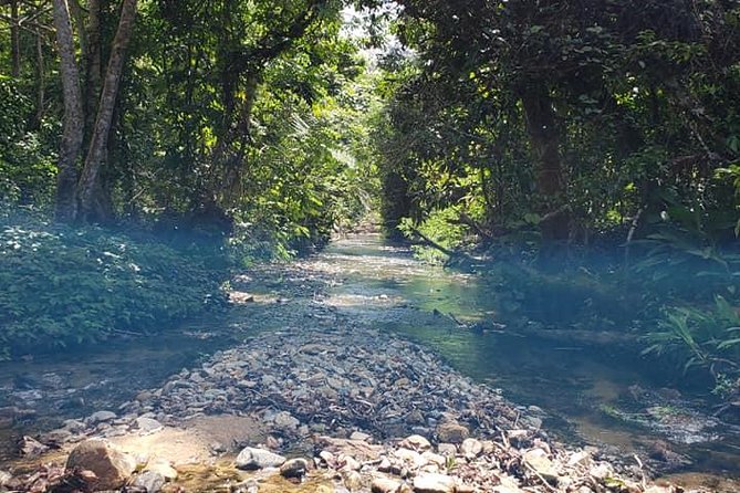 iconic waterfall tour - Walking through the rainforest to the falls
