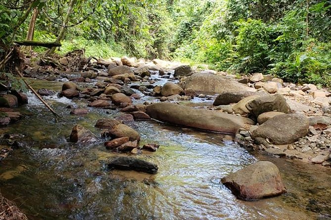 iconic waterfall tour - Natadola Beach leaves room to choose your pace