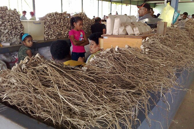 Kava Factory Tour and Flavored Kava Tasting Experience - Key points to know before booking