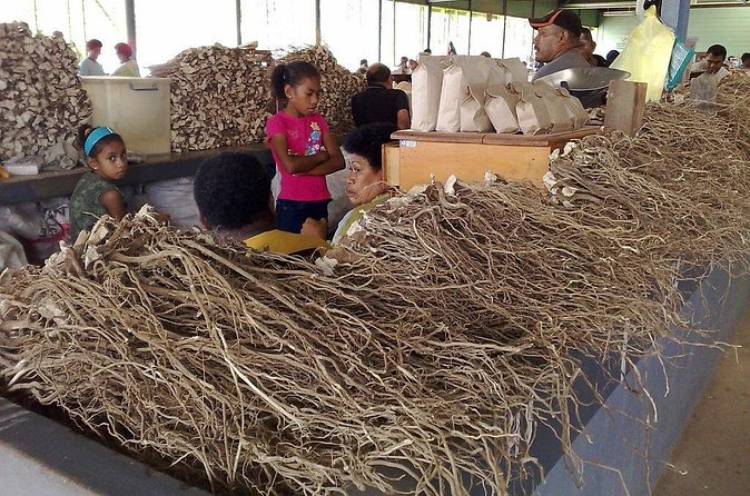 Kava Factory Tour and Flavored Kava Tasting Experience - Timing, pickup, and practical details