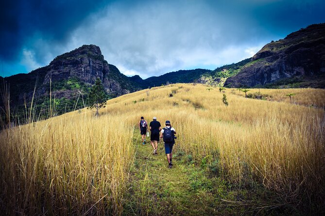 Koroyanitu National Heritage Park Fiji - Hike - Waterfall - Starting at 8:00 am with pickup offered